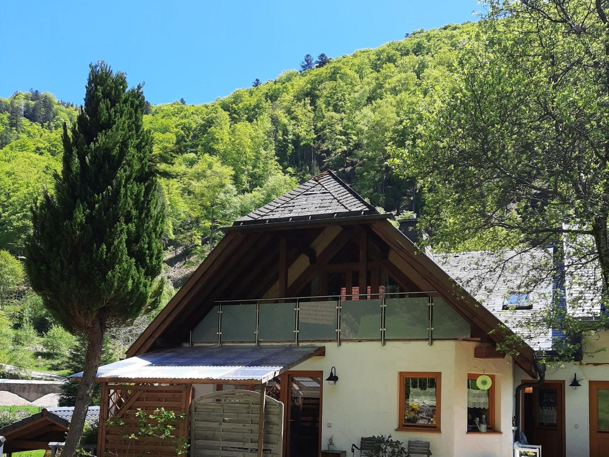 Ferienwohnung Schwarzwaldfeder Todtnau Exterior foto